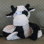 this is cow