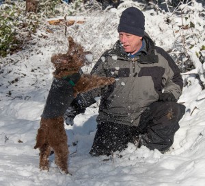 bailey trying to catch snow